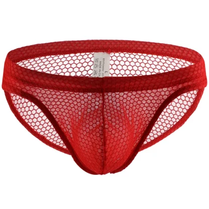 Low-rise Mesh Plain Color Brief - Image 13